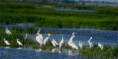 /album/fotogaleria-inicio/images-8-jpg/